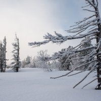 г. Мустаг. Шерегеш :: Валерий Михмель 