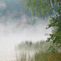 В тихой заводи.... :: Юрий Цыплятников