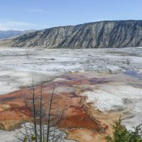 Долина источников Canary Springs. Йеллоустон :: Юрий Поляков