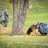 Ну ты чего, не бояся я с тобой. :: Виталий Латышонок