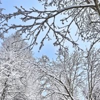 В конце февраля. :: Михаил Николаев