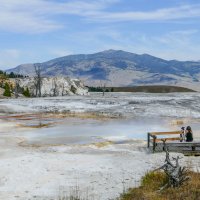 Любуемся видами на долину Canary Springs, Йеллоустон :: Юрий Поляков