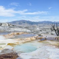 Долина горячих источников (Canary Springs, Йеллоустон) :: Юрий Поляков