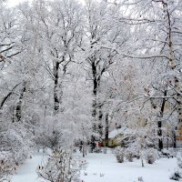 Кружевная вязь зимы!... :: Лидия Бараблина
