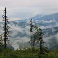 В клочья разорванный туман :: Сергей Чиняев 