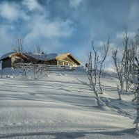 Февраль :: Владимир Колесников