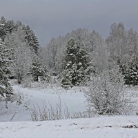 Последнее дыхание зимы. :: Николай Масляев