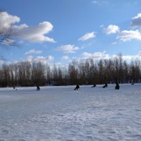 Последний день зимы :: Александр Алексеев