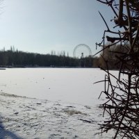 Зимний парк... :: Александра павловская
