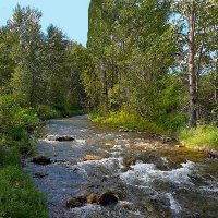 ВОДА   ПО   КАМУШКАМ :: Анатолий Малобродский