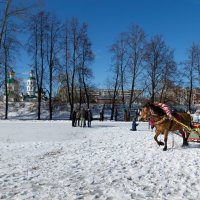 Проводы зимы. :: Анатолий Грачев