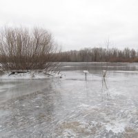 в ледяном плену :: Елена Шаламова