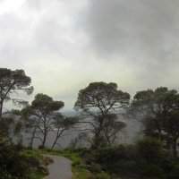 Туман  в горах Хар Дув :: Гала 