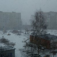 зима возвращается... :: александр дмитриев 
