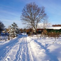 Деревенская жизнь :: Анатолий Мо Ка