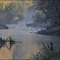 Источник вдохновения  Яуза :: олег свирский 