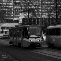 Москва :: Елизавета Коломенцева