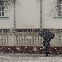 А снег идет :: Роман Савоцкий
