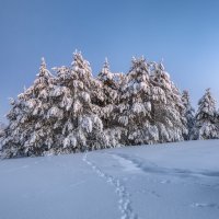 Февраль :: Владимир Колесников