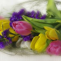 С Днём весны, цветов и красоты! :: Nina Karyuk