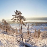 Зима на Фёдоровских Лугах :: Mikhail Linderov