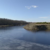 радость весне... :: Михаил Жуковский