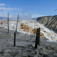 Потухший и активный участок Canary Springs (Йеллоустон) :: Юрий Поляков