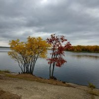 Дыхание осени :: Михаил Гранат