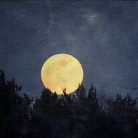 Moon over the forest :: Денис Бочкарёв