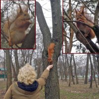 Удовольствие от общения...) :: Тамара Бедай 