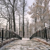 В парке, к вечеру... :: LudMila 