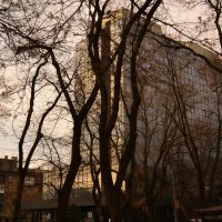 Park Tower Одесса бизнес-центр :: sokoban 