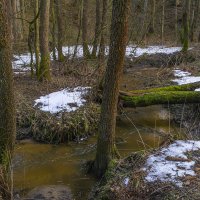 Лесной ручей в марте :: Сергей Цветков