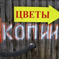 Вот такая цветокопия.. :: Василий 