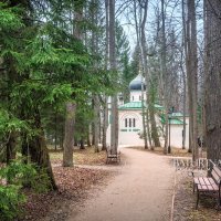 Церковь среди деревьев :: Юлия Батурина