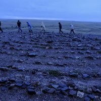 зомби крутятся в поиске космической (и земляной) энергии :: Георгий А