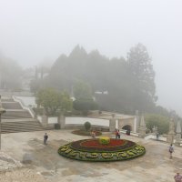 Туман в парке Бан-Жезуш :: Ольга 