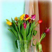 Мартовские тюльпаны. :: nadyasilyuk Вознюк