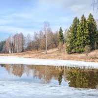 Весна :: Юлия Батурина