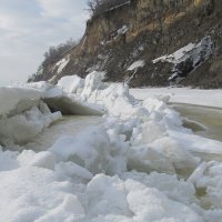 прогулка в феврале :: Елена Шаламова