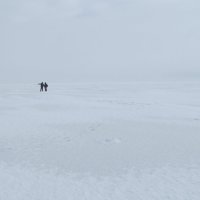 прогулка по льду :: Елена Шаламова