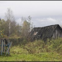 осень в деревне :: Алексей Патлах