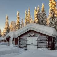 Утро :: Владимир Колесников