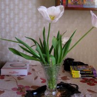Тюльпаны в вазе :: Марина Таврова 