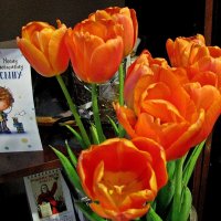Яркие тюльпаны :: Марина Таврова 