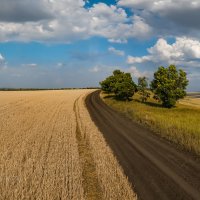 Дорога вдоль поля :: Фёдор. Лашков