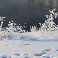 На берегу Енисея в январе :: Татьяна Соловьева