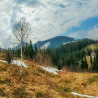 Март в Карпатах. :: Юрий Гординский