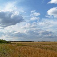 В степи перед дождём :: Владимир Рыбак