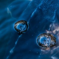 Отражение сосен в капельках воды спине осетра :: Анна Углова (Рыбакова)